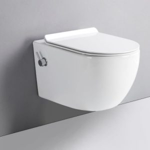 Ophang toilet met sproeier wandbidet (warm- en koud water)